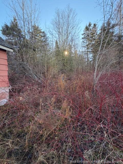 400 Flume Ridge Rd, Flume Ridge, NB