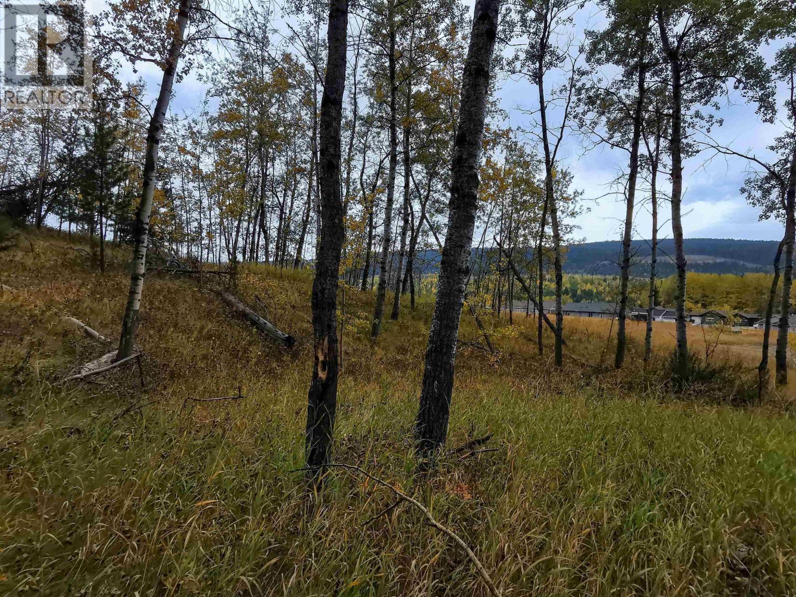 288 Blackstock Road, 100 Mile House, BC