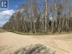 1 W Tamarac AVENUE Nipawin, SK S0E 1E0