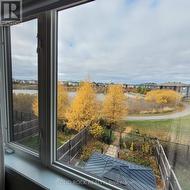 View from Primary Window (Fall 2025) -