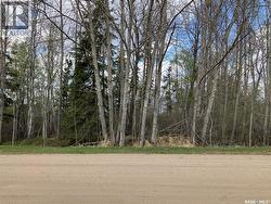 105 Spruce AVENUE W Nipawin, SK S0E 1E0