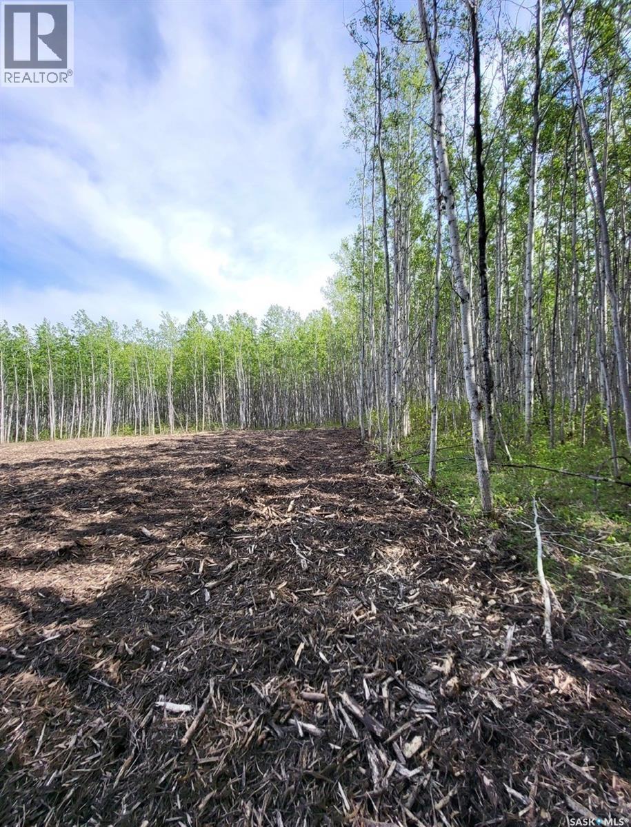 Lot 8 Poplar Grove Estates, Meadow Lake Rm No.588, SK