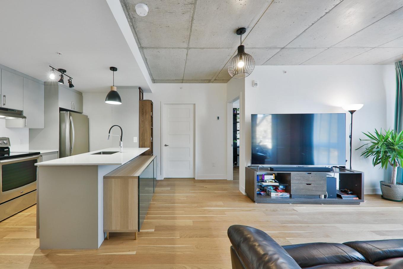 Vue d'ensemble - 209-3600 Rue Rachel E., Montréal (Rosemont/La Petite-Patrie), QC - Indoor Photo Showing Kitchen With Upgraded Kitchen