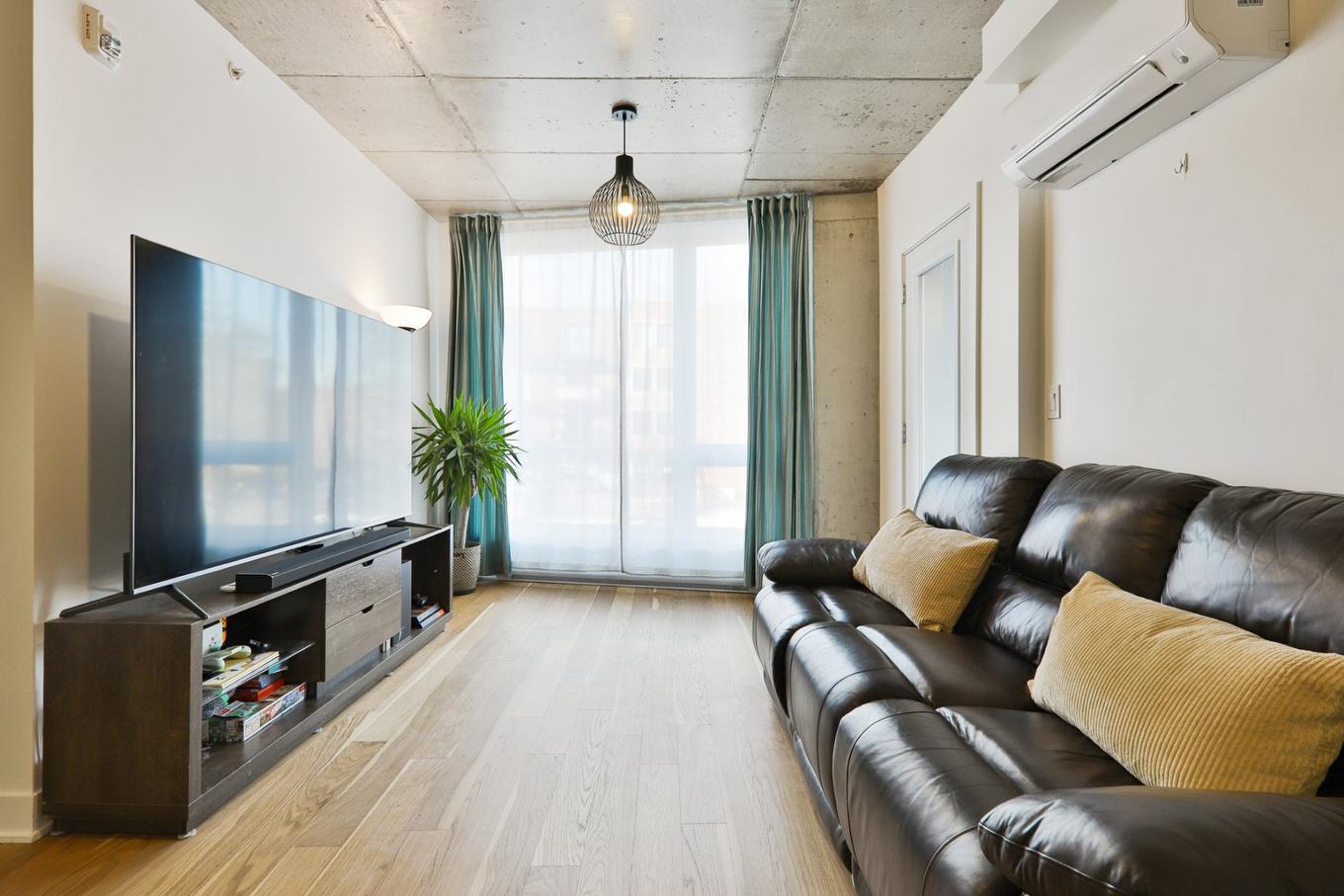 Salon - 209-3600 Rue Rachel E., Montréal (Rosemont/La Petite-Patrie), QC - Indoor Photo Showing Living Room