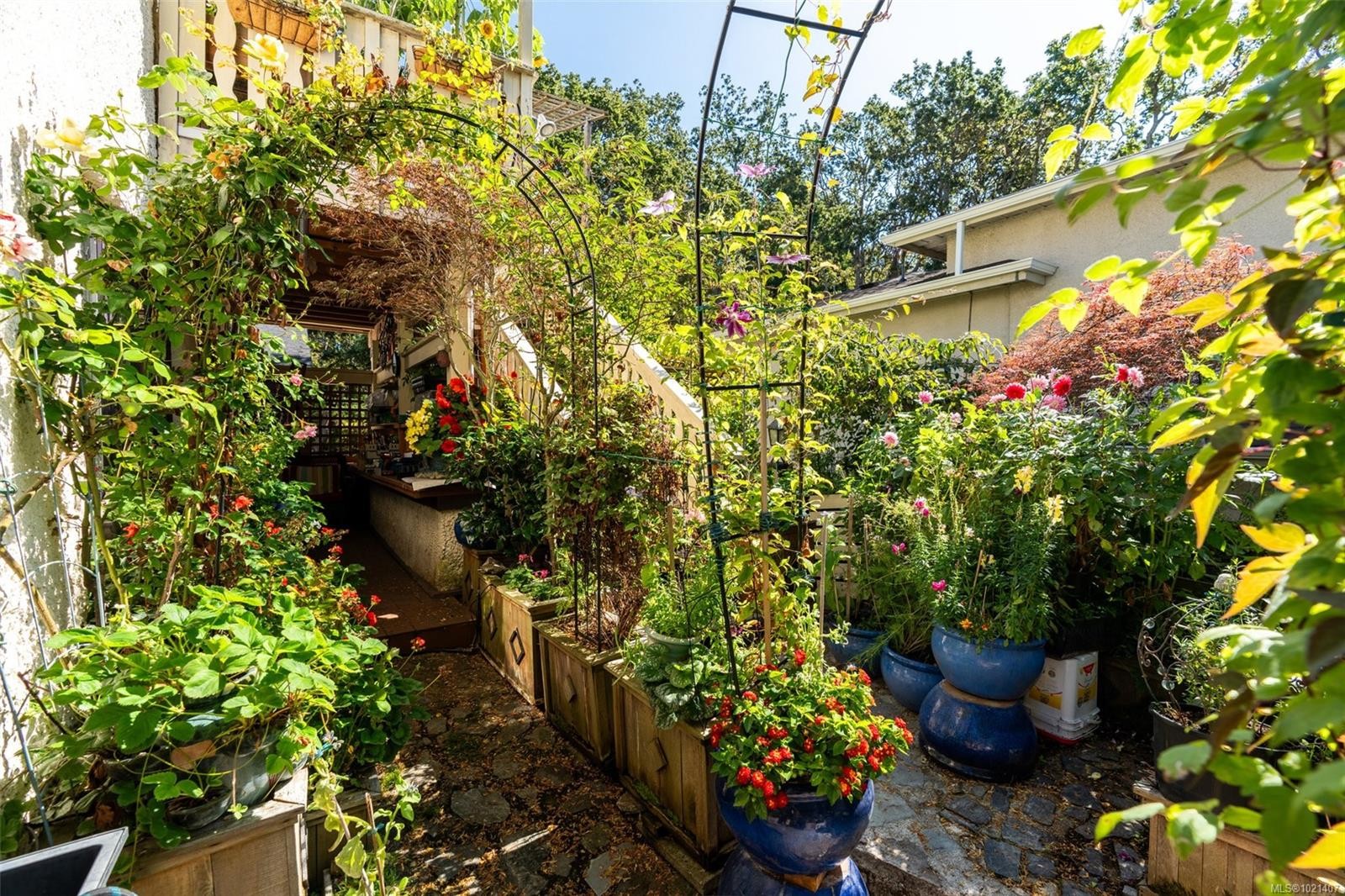 1043/1045 Belmont Ave, Victoria, BC - Outdoor