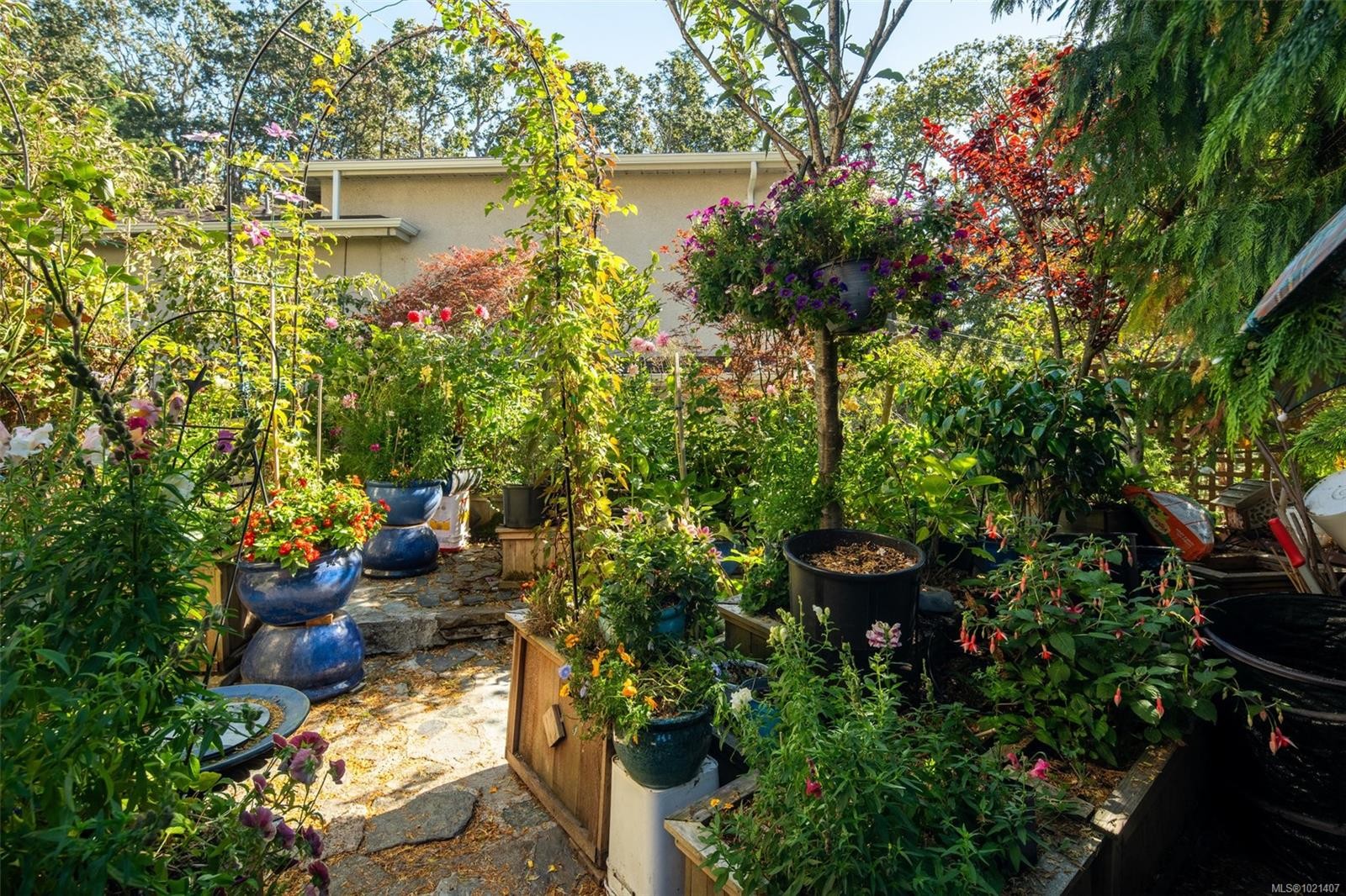 1043/1045 Belmont Ave, Victoria, BC - Outdoor