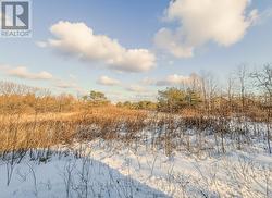 9829 10 COUNTY ROAD Clearview, ON L0M 1N0