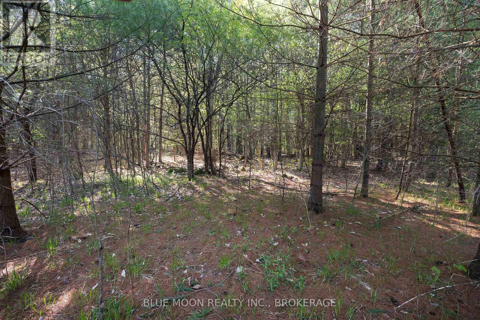 0 Fortune Line Road, Rideau Lakes, ON