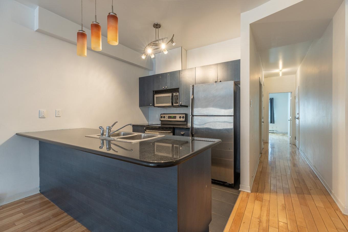 Cuisine - 202-1080 Rue Anderson, Montréal (Ville-Marie), QC - Indoor Photo Showing Kitchen With Double Sink With Upgraded Kitchen