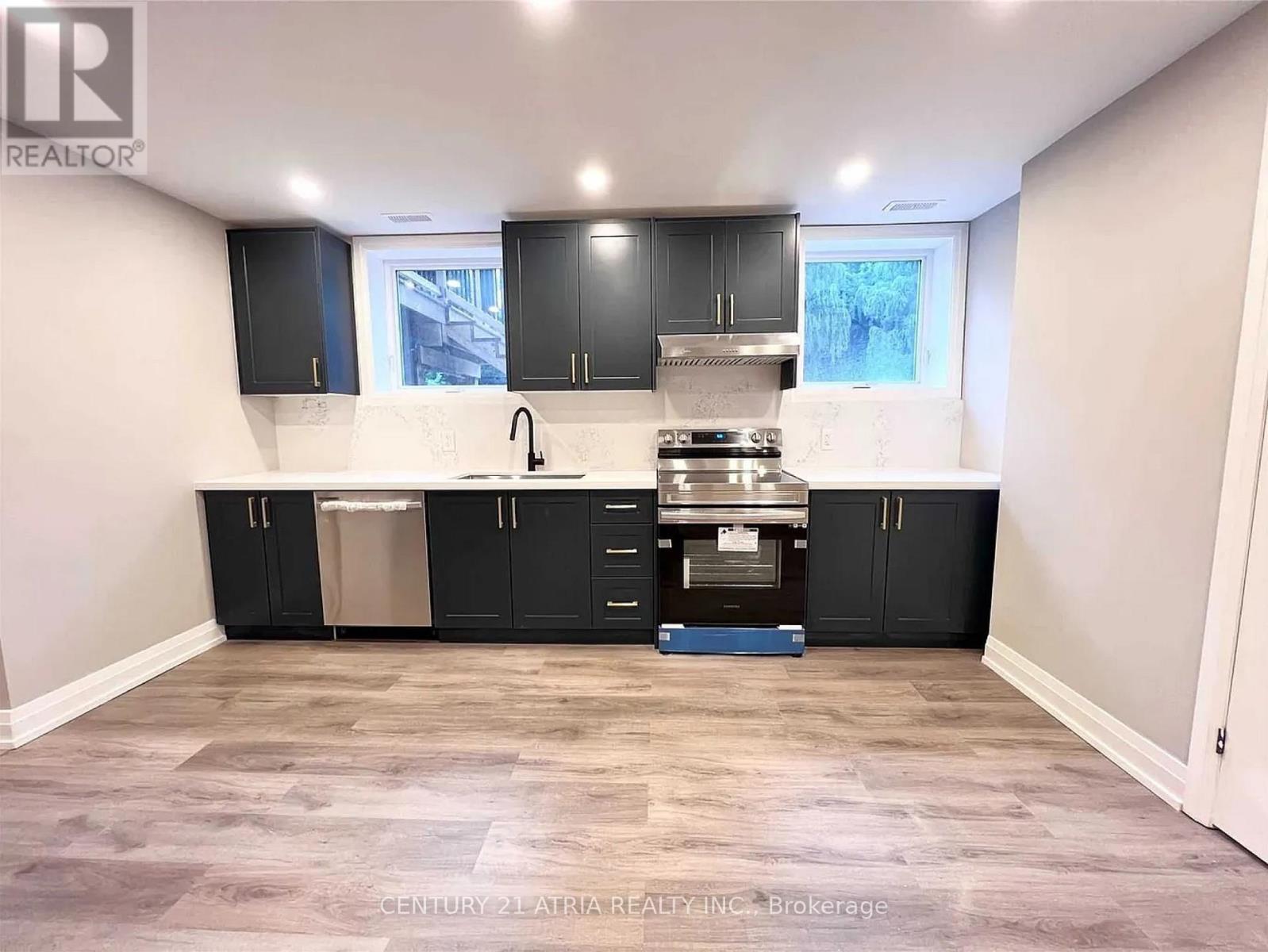 Bsmt - 115 Belfry Drive, Newmarket, ON - Indoor Photo Showing Kitchen With Double Sink With Upgraded Kitchen