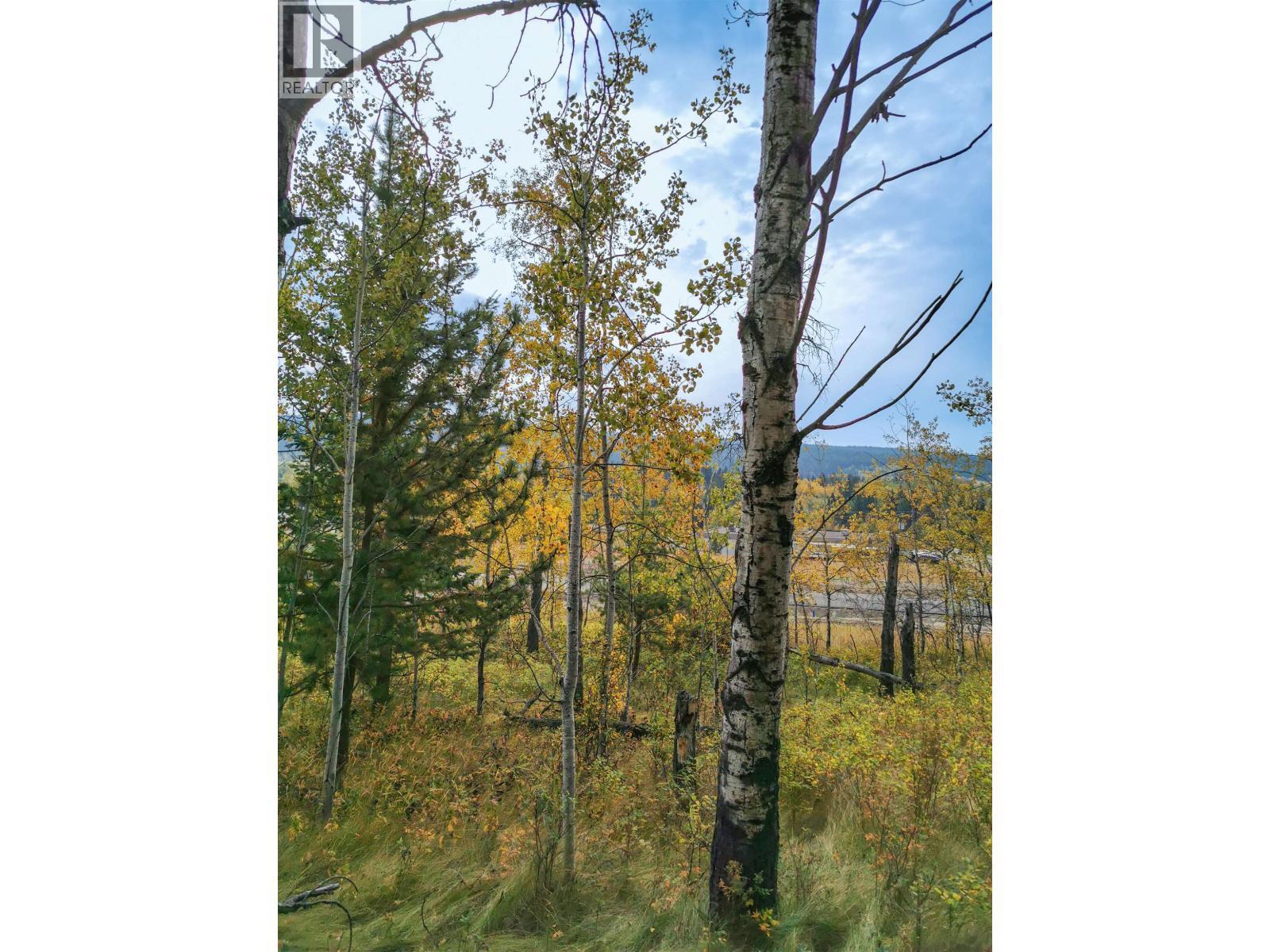 280 Blackstock Road, 100 Mile House, BC