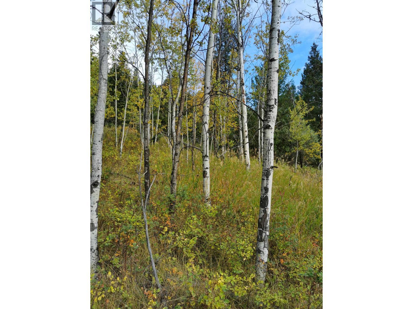 280 Blackstock Road, 100 Mile House, BC