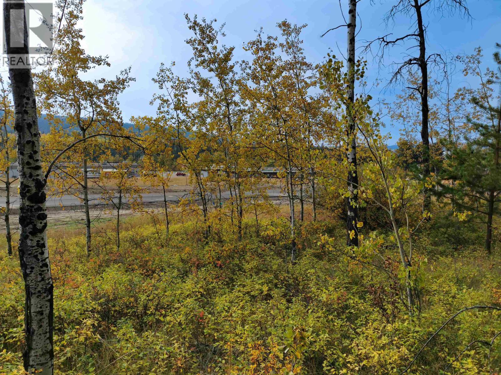 280 Blackstock Road, 100 Mile House, BC