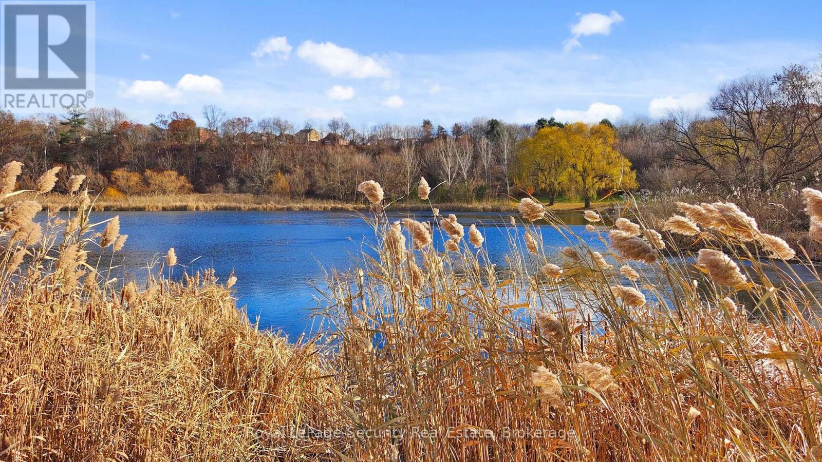 #403 - 25 Fontenay Court, Toronto, ON - Outdoor With View
