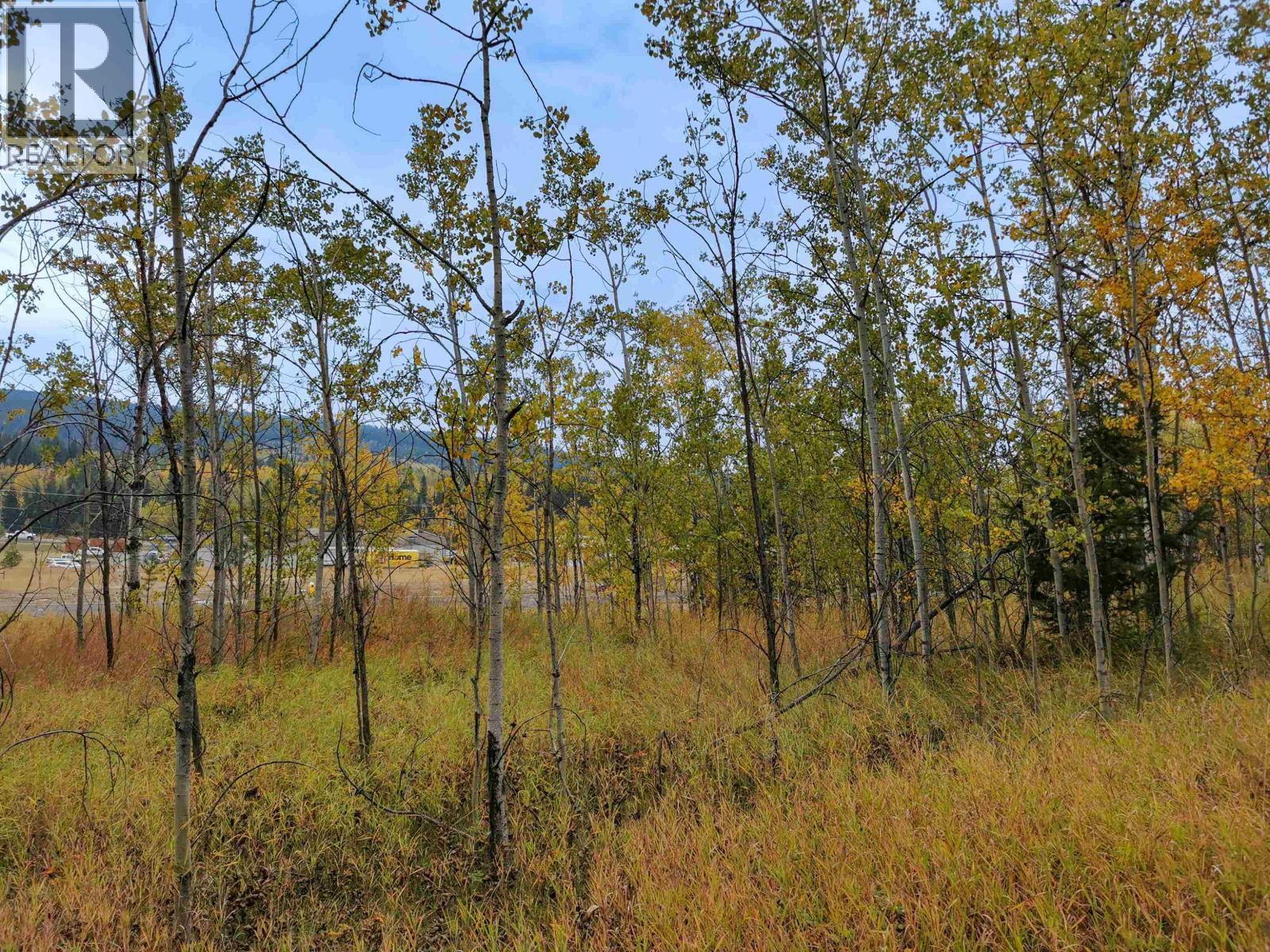 284 Blackstock Road, 100 Mile House, BC