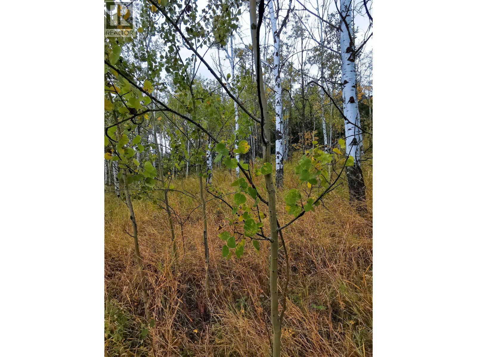 284 Blackstock Road, 100 Mile House, BC