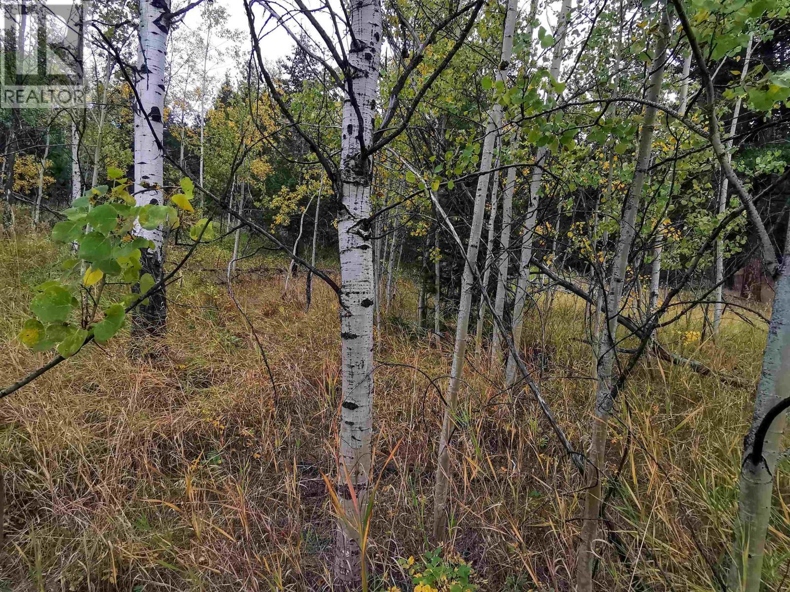 284 Blackstock Road, 100 Mile House, BC