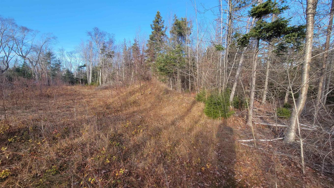 46 Teddy Lane, Pleasant Grove, PE