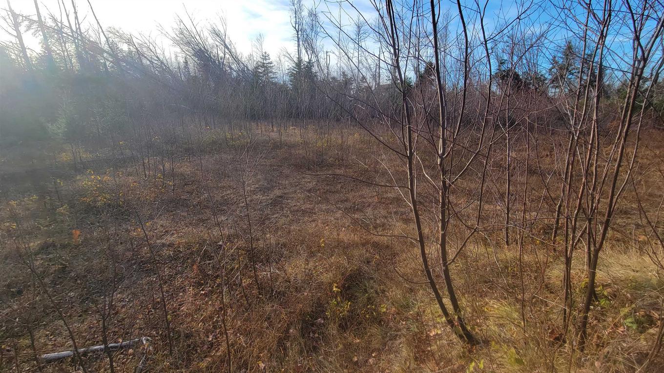 46 Teddy Lane, Pleasant Grove, PE