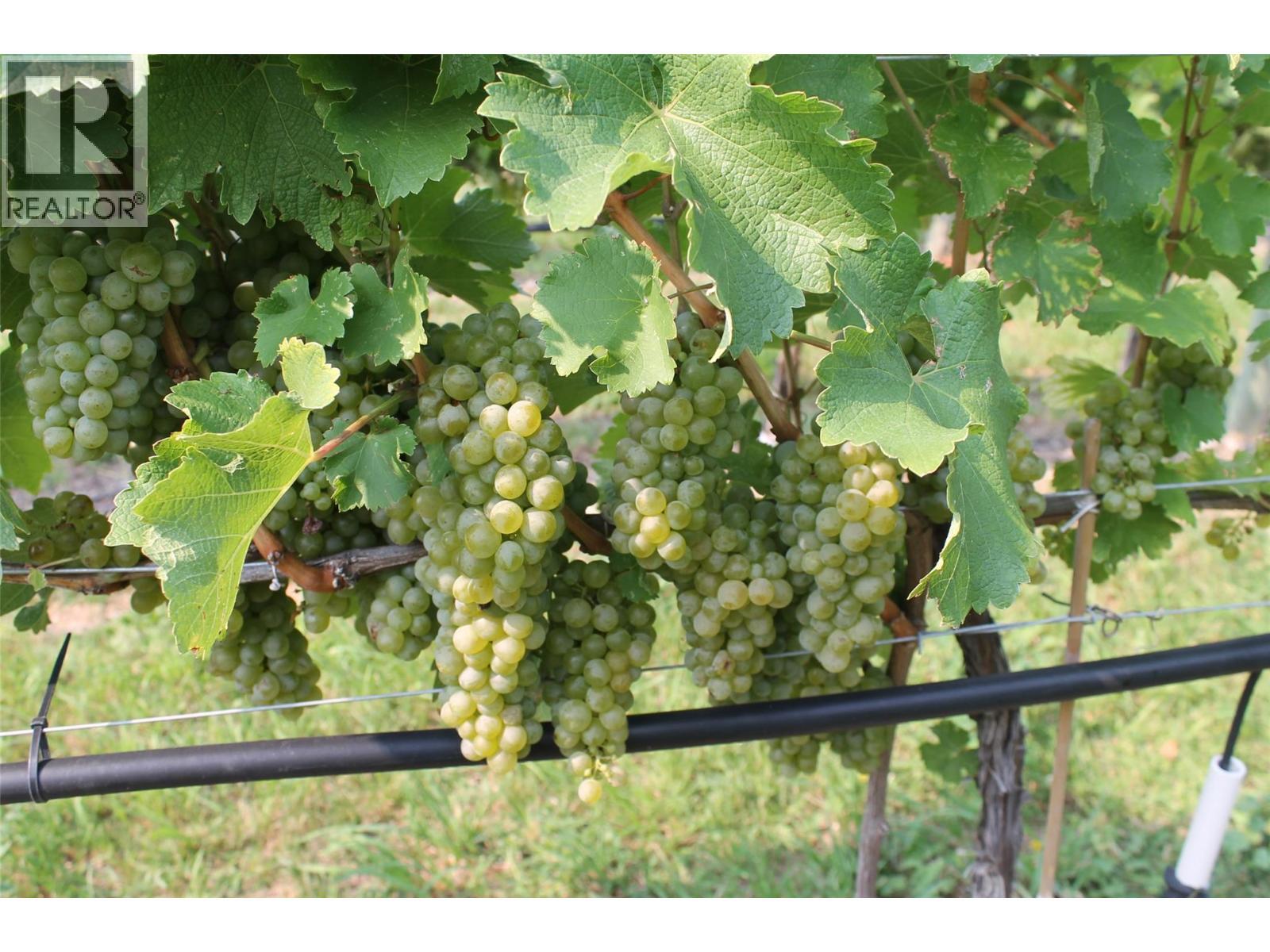 7361 Tucelnuit Drive, Oliver, BC