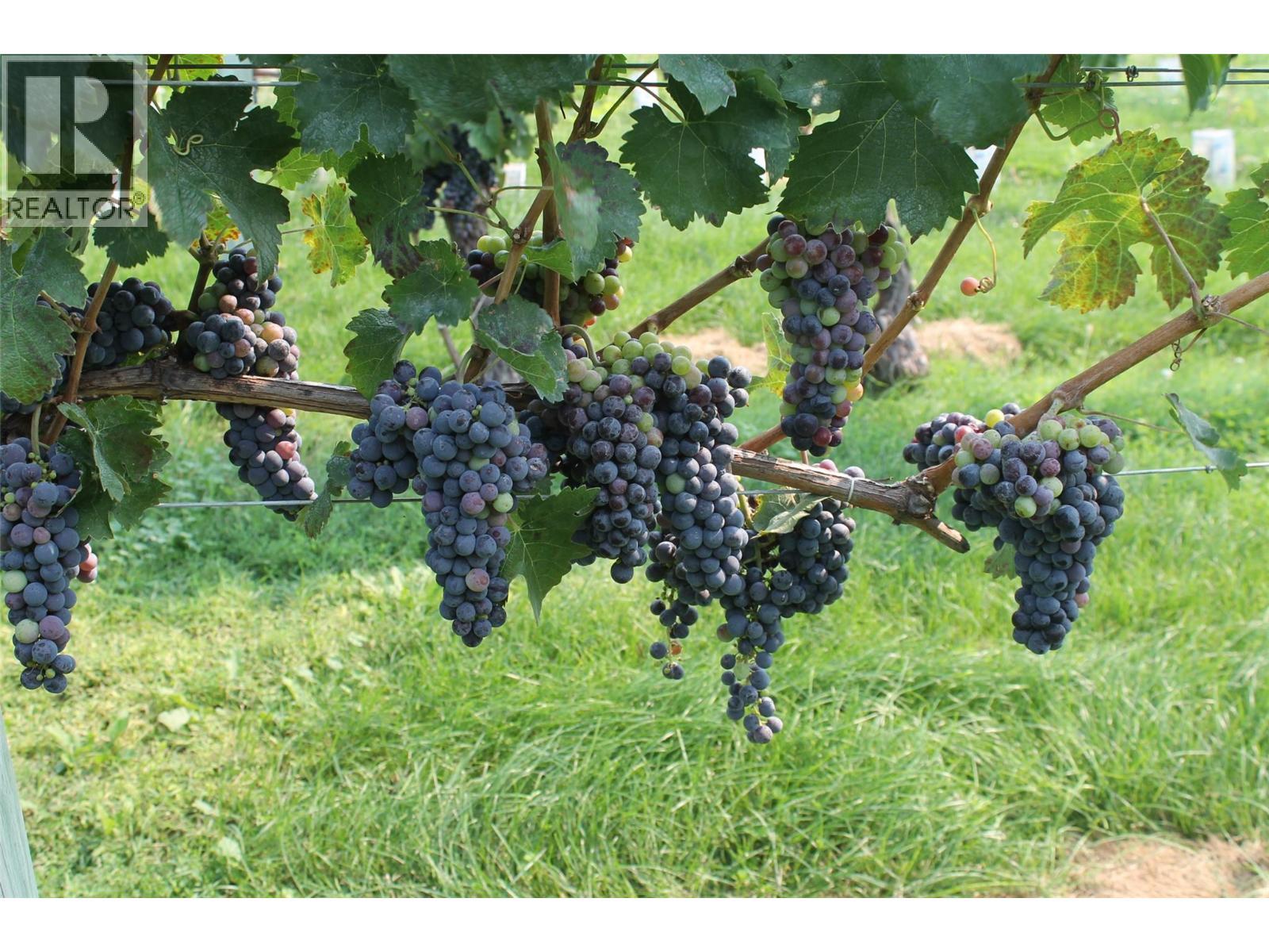 7361 Tucelnuit Drive, Oliver, BC