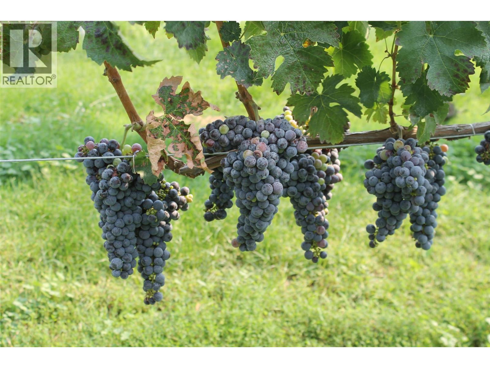 7361 Tucelnuit Drive, Oliver, BC