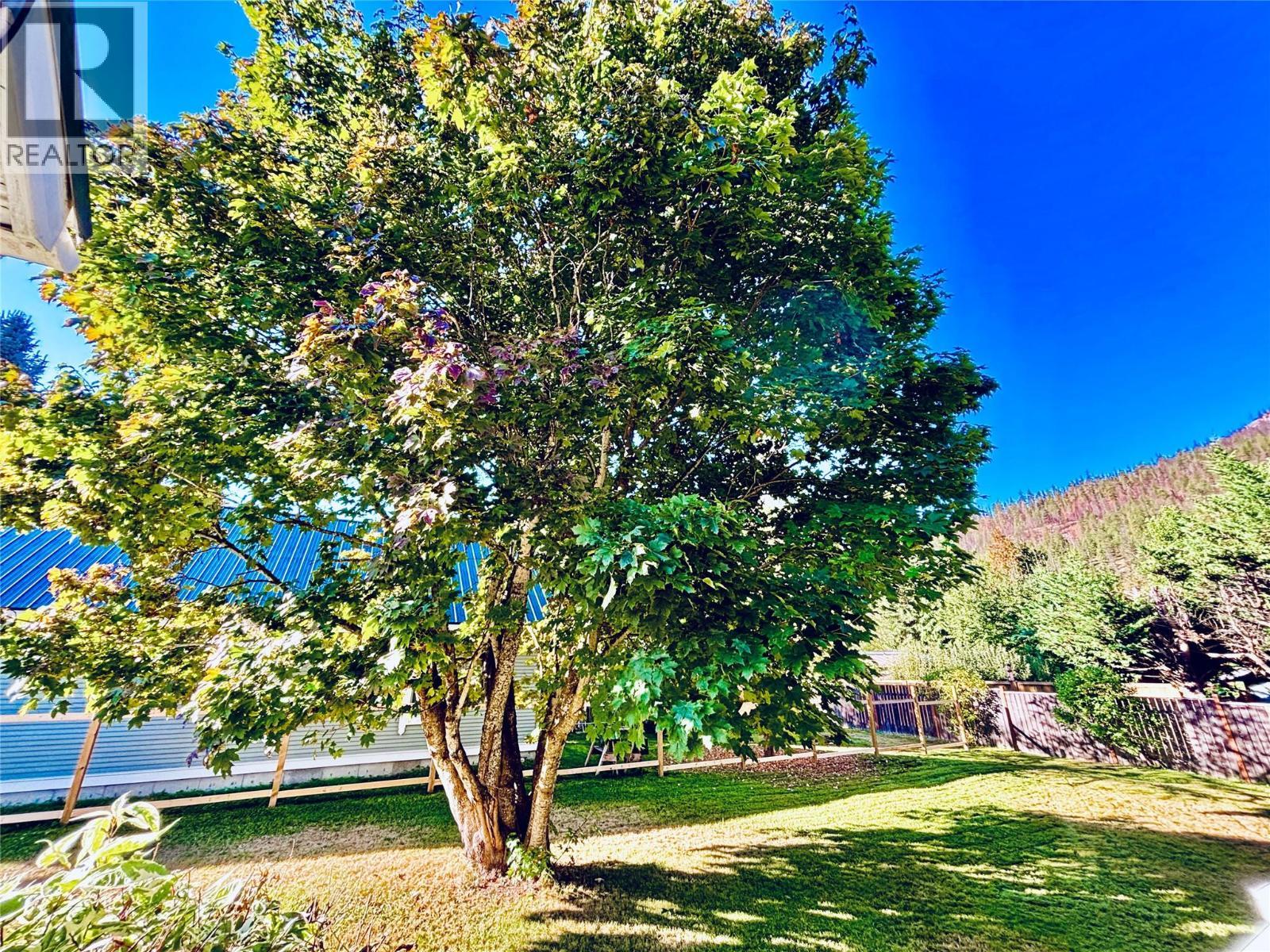 Backyard - 501 Arthur Street, Slocan, BC - Outdoor