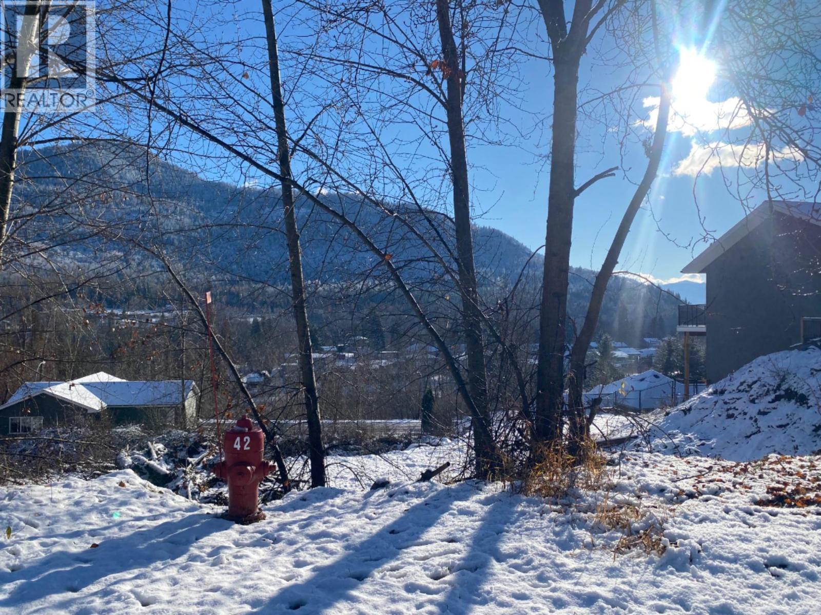 933 7Th Street, Montrose, BC