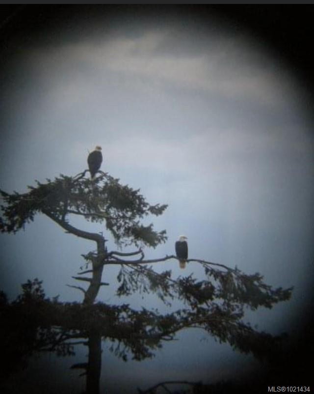 777 Mine Rd, Lasqueti Island, BC