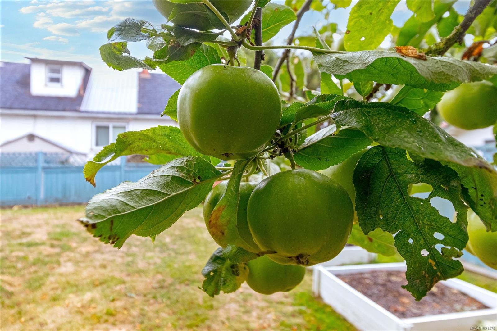 2365 Lovell Ave, Sidney, BC