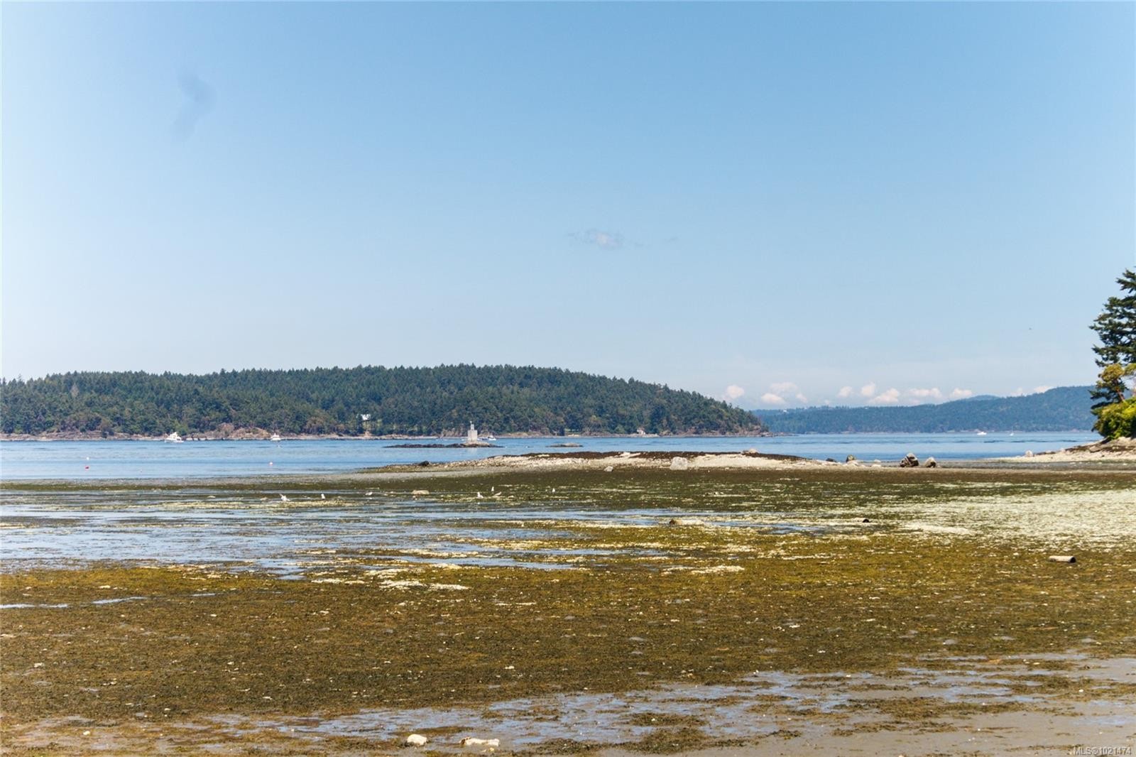 2365 Lovell Ave, Sidney, BC