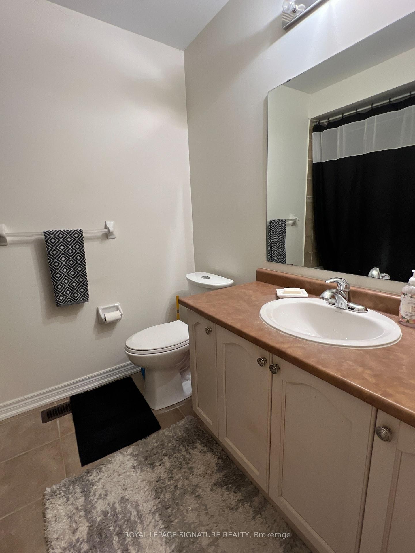 49 Shirrick Drive, Richmond Hill, ON - Indoor Photo Showing Bathroom