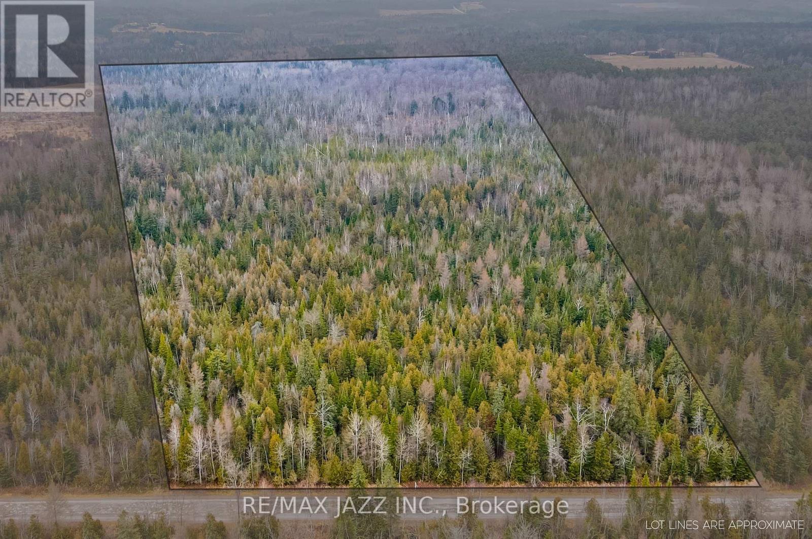 0 Ballyduff Road, Kawartha Lakes (Manvers), ON