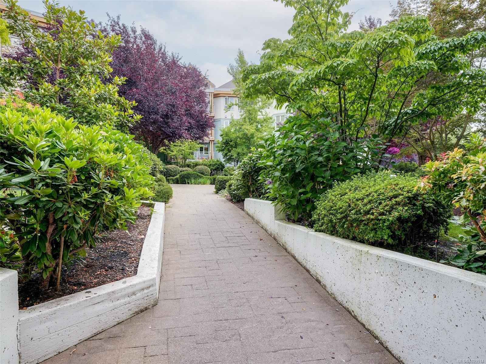 104-494 Marsett Pl, Saanich, BC - Outdoor