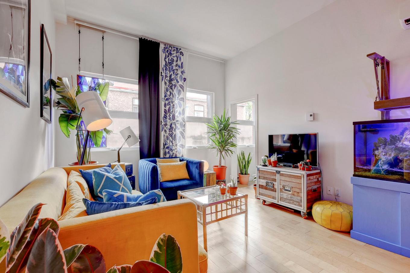 Salon - 202-60 Rue Jean-Talon O., Montréal (Rosemont/La Petite-Patrie), QC - Indoor Photo Showing Living Room