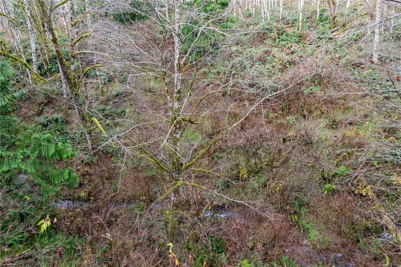 1877 Mountview Dr, Sayward, BC