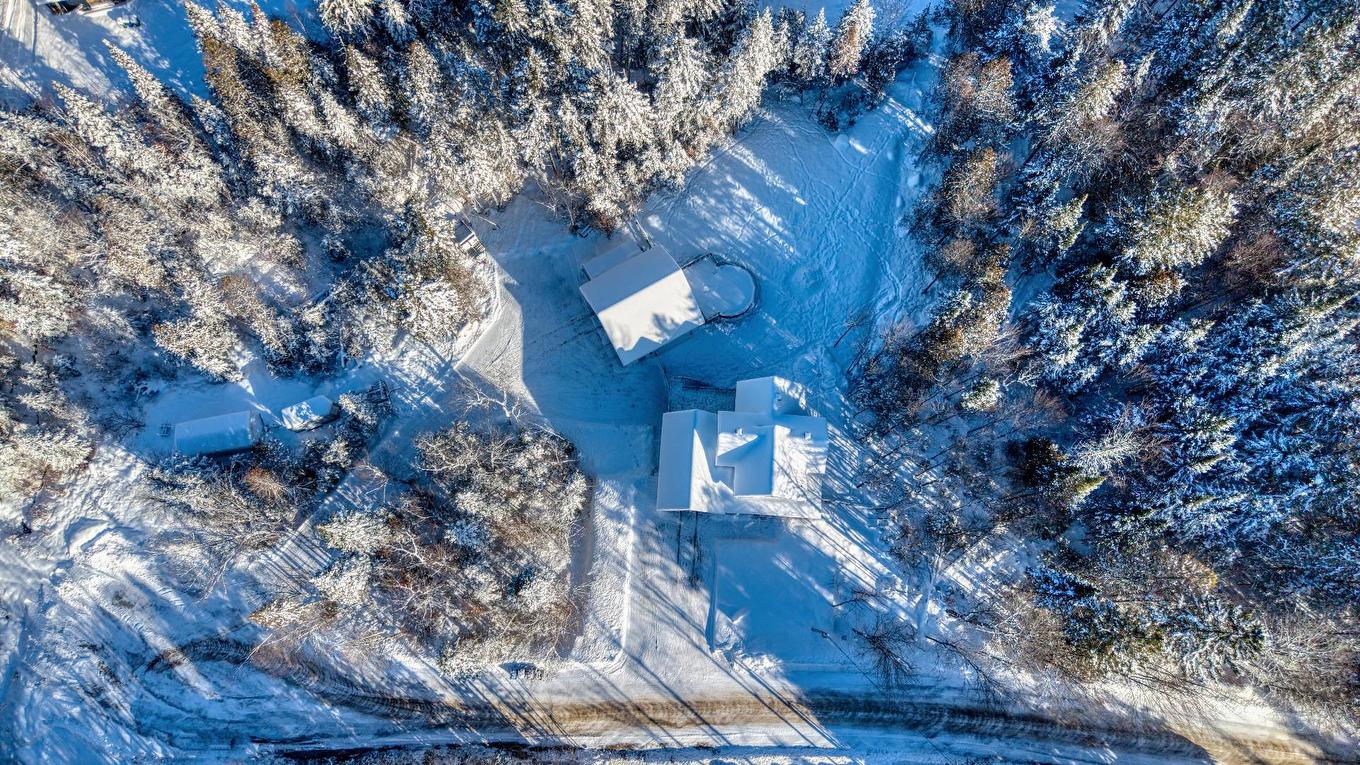 Overall view - 52 Rue Du Sommet-Du-Parc, Sainte-Marguerite-Du-Lac-Masson, QC - Outdoor With View