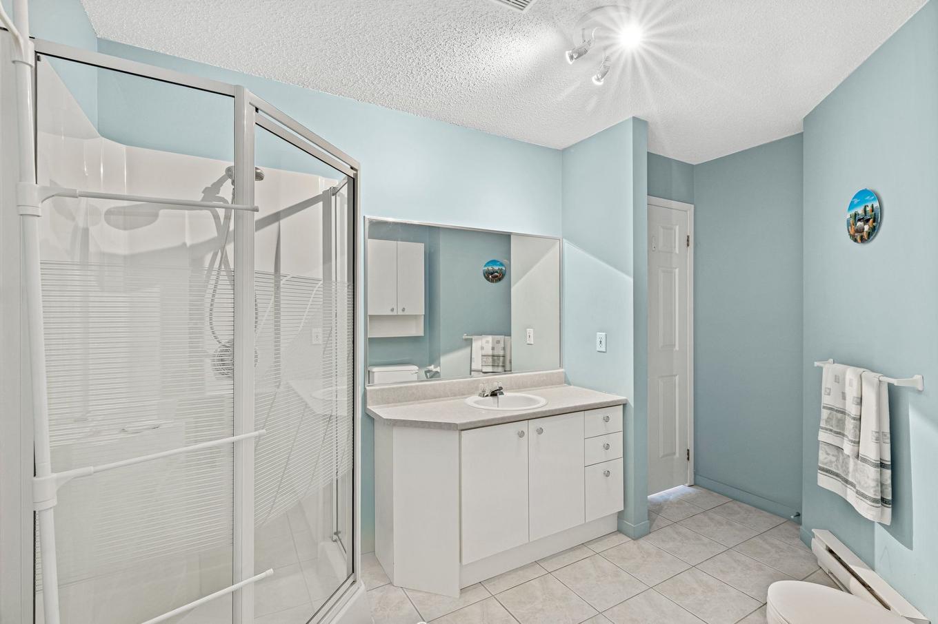 Bathroom - 204-2385 Rue Henriette-Céré, Longueuil (Saint-Hubert), QC - Indoor Photo Showing Bathroom