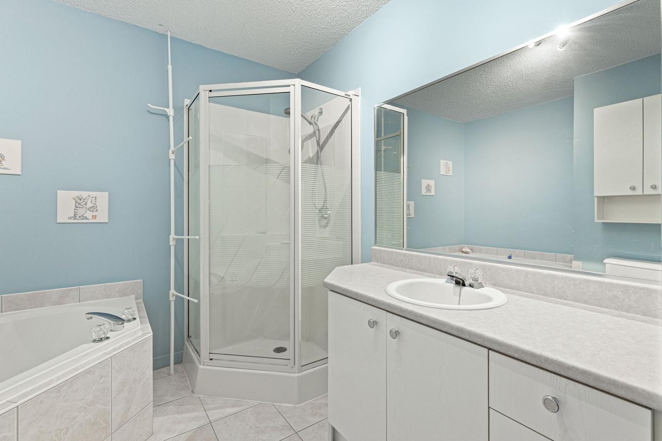 Bathroom - 204-2385 Rue Henriette-Céré, Longueuil (Saint-Hubert), QC - Indoor Photo Showing Bathroom