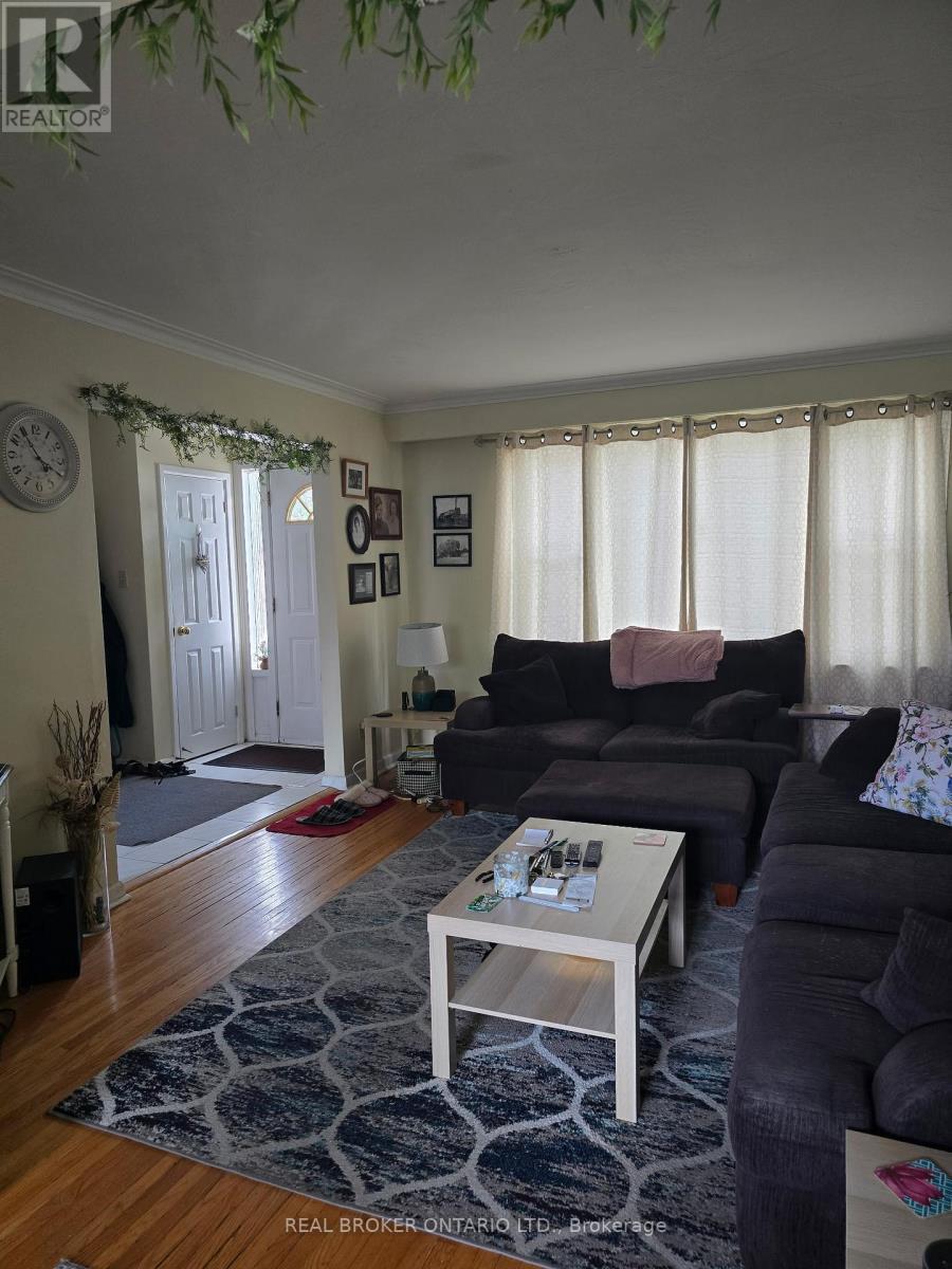 82 Minerva Avenue, Toronto, ON - Indoor Photo Showing Living Room