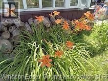 3277 Dominion, Windsor, ON - Outdoor