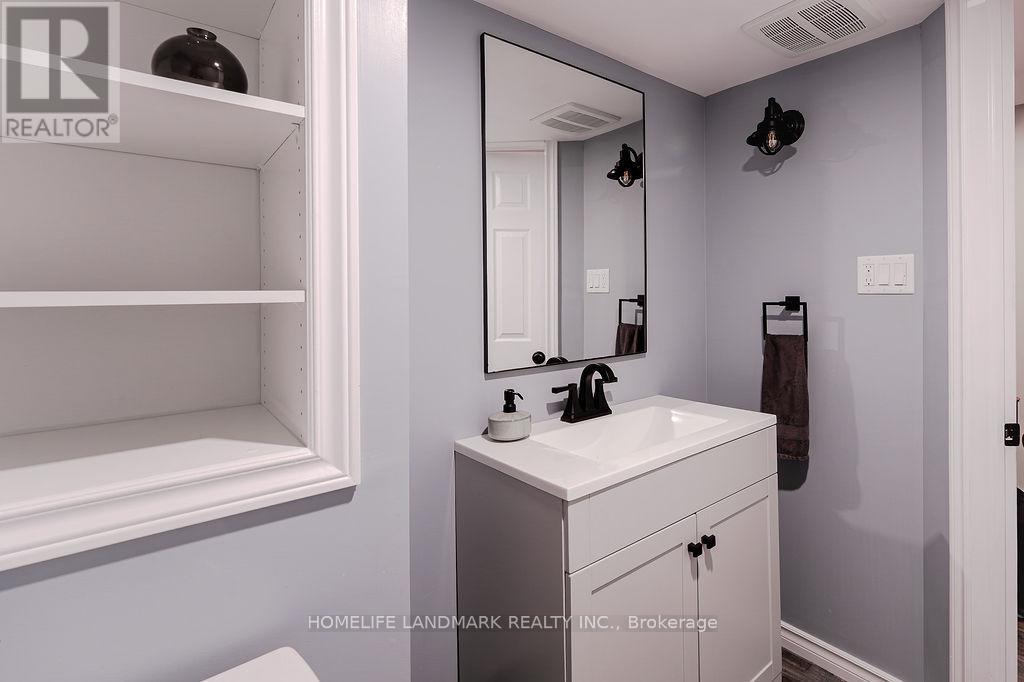 106 Odonnel Drive, Hamilton, ON - Indoor Photo Showing Bathroom
