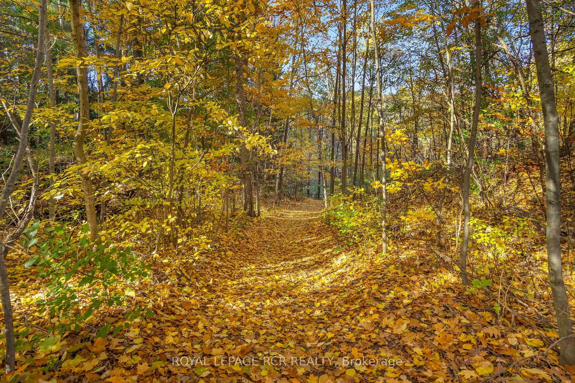 300 Old Bathurst Street, King, ON - Outdoor With View