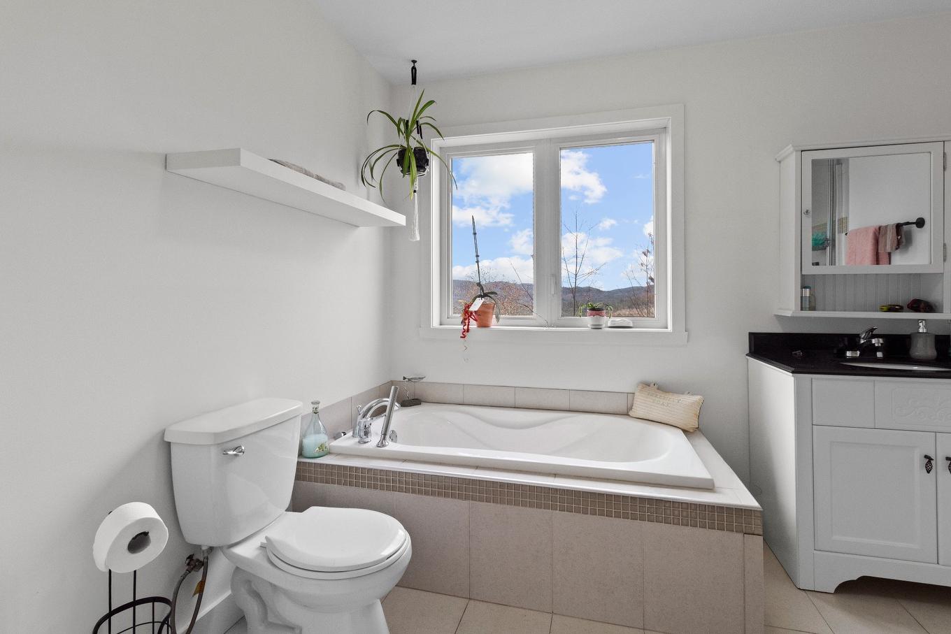 Ensuite bathroom - 4575 Rue De La Rogeloise, Sainte-Adèle, QC - Indoor Photo Showing Bathroom