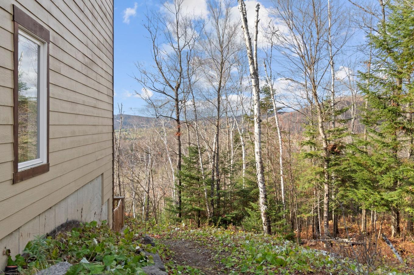 Backyard - 4575 Rue De La Rogeloise, Sainte-Adèle, QC - Outdoor