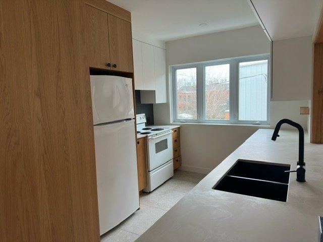 Kitchen - 3-10620 Av. D'Auteuil, Montréal (Ahuntsic-Cartierville), QC - Indoor Photo Showing Kitchen With Double Sink