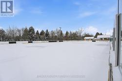 Neighbourhood Outdoor Rink -