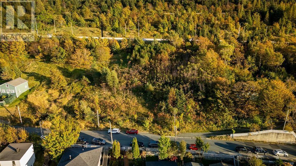 591 Southside Road, St. John'S, NL