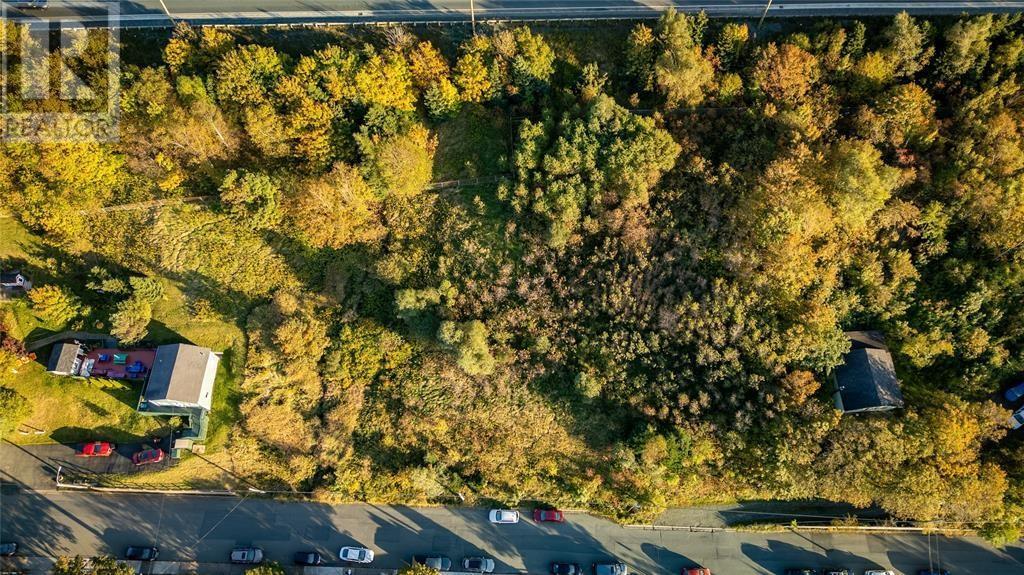 591 Southside Road, St. John'S, NL