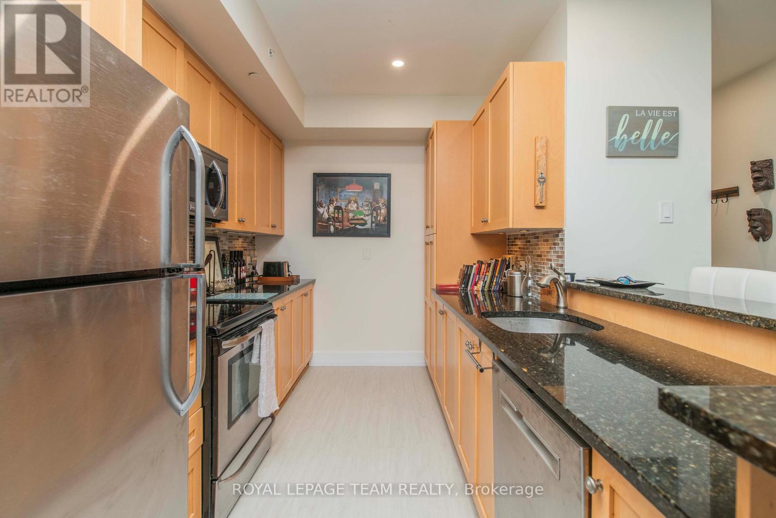 102 - 390 Booth Street, Ottawa, ON - Indoor Photo Showing Kitchen